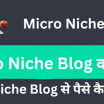 Micro Niche Blog क्या है? How to Create Micro Niche Blog in Hindi