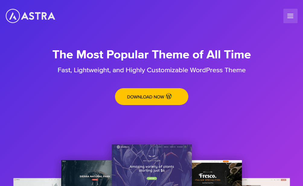 Most Popular WordPress Themes in 2024