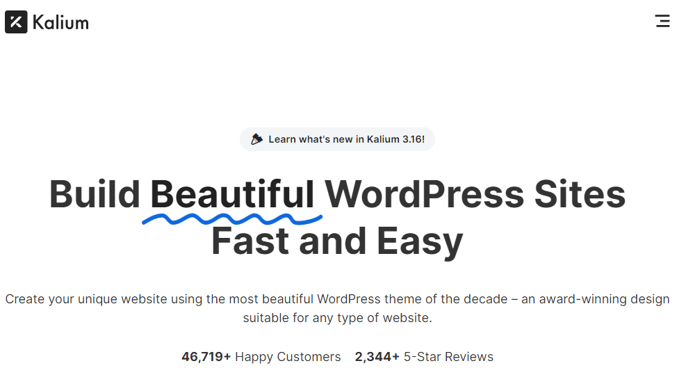 Most Popular WordPress Themes in 2024